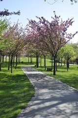 Park