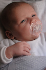 bebe
