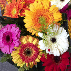 gerber daisy flowers bouquet