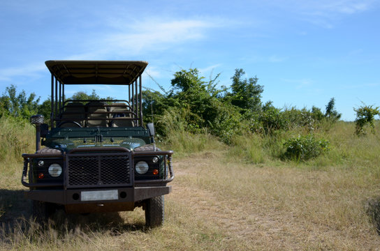 Fototapeta jeep