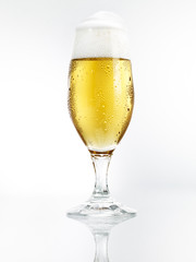 Bierglas mit Spiegelung 4