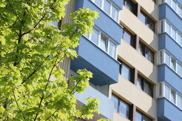 Plattenbau Sommer 2