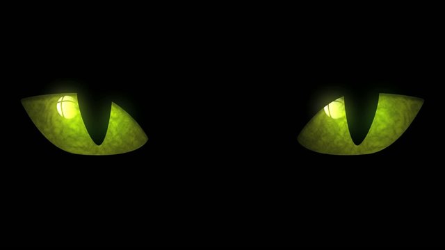 Cat Eyes Blinking Loop