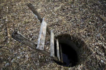 Ladders out of nowhere