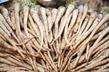 Parsnip
