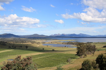 Weinanbau in Tasmanien