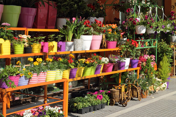Obraz na płótnie Canvas Flower shop outdoor stand with colorful flower pots