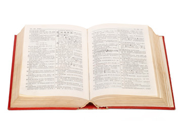 Obraz premium dictionary