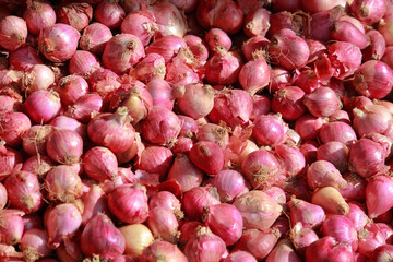 shallot heap