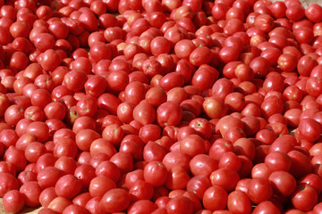 Tomato heap