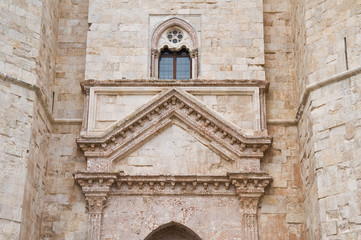 Detail of Castel del Monte. Andria. Apulia.