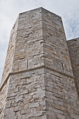 Fototapeta na wymiar Szczegóły Castel del Monte. Andria. Apulia.