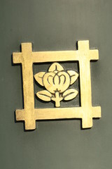lotus pattern