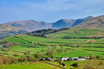 Rural Lake District View
