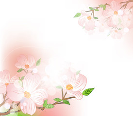 Fototapeta na wymiar background with spring flowers and blur