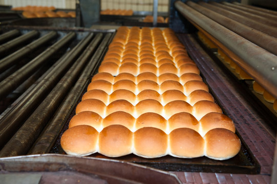 buns of bread in the factory
