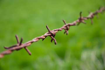 Stacheldraht alt und rostig Detail
