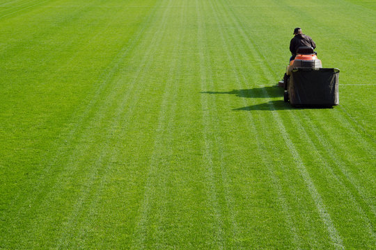 Mowing Grass