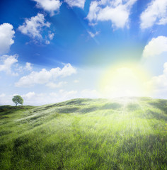 Obraz premium landscape