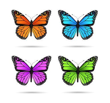 Vector illustration of multicolored butteflies