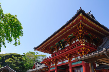 Tsurugaoka Hachiman-gū - Kamakura, Japan