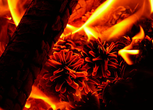 Feuer_3