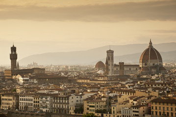 Fototapeta na wymiar panorama di Firenze
