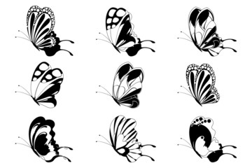 Set of Butterfly