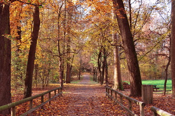 Sentiero del parco di Monza