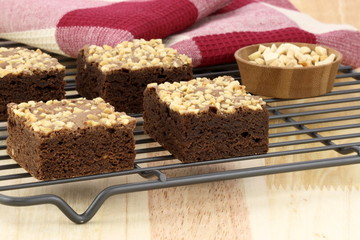 chocolate brownies with cracked peanuts on top