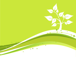 FONDO ECOLOGICO © rondabroc.com