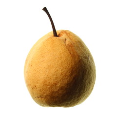 Pear Shadow 4