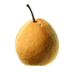 Pear Shadow 3