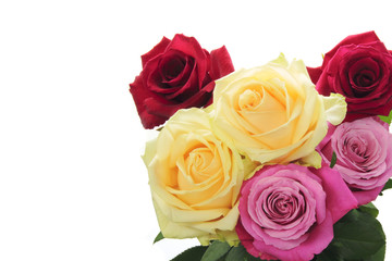 Obraz na płótnie Canvas Rose bouquet