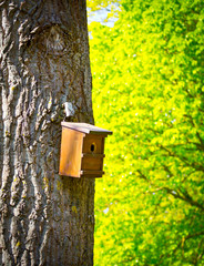Bird House