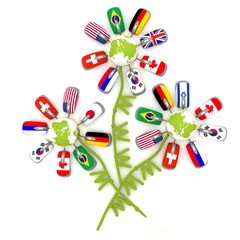 Unusual bouquet from the Internet flowers