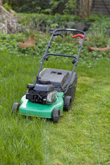 Rasenmäher - halb gemähter Rasen -