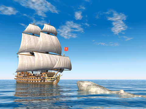 Segelschiff und weisser Wal