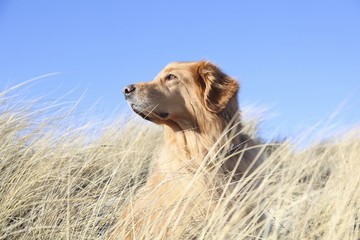 Strand / Meer / Wasser