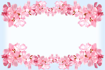 pink flower frame with copy space