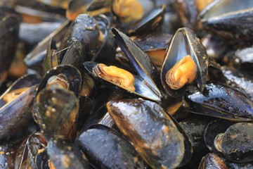 moules