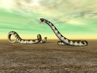 Obraz premium Riesenschlangen