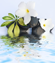 Obraz na płótnie Canvas décor zen institut massage, sauna, galets et fleurs blanches