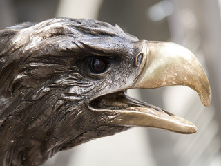 Adler