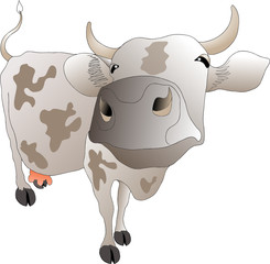 Пятнистая корова