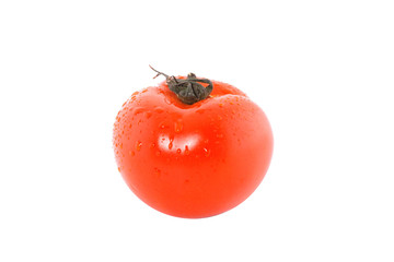 Fresh tomato
