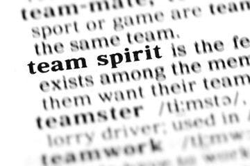 team spirit (the dictionary project)