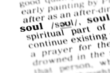 soul (the dictionary project)