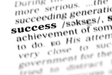 success (the dictionary project)