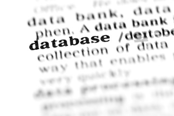 Fototapeta premium database (the dictionary project)